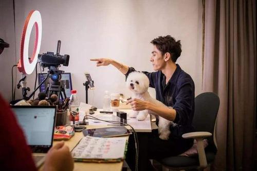 海南直播电商app开发成本