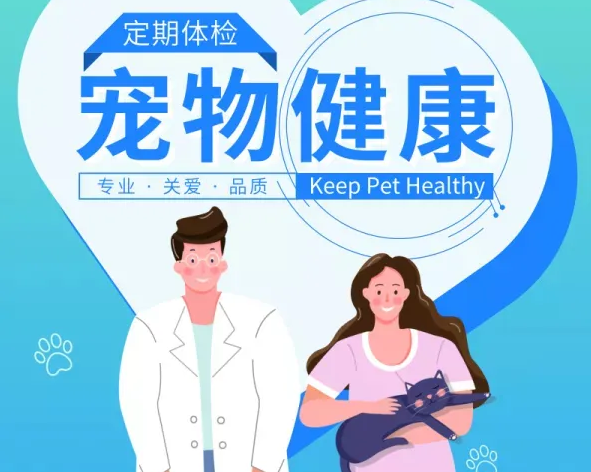 宠物医疗APP提供全面服务