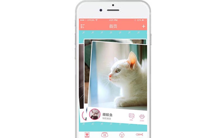 宠物店APP开发为何能够在互联网年代下盛行