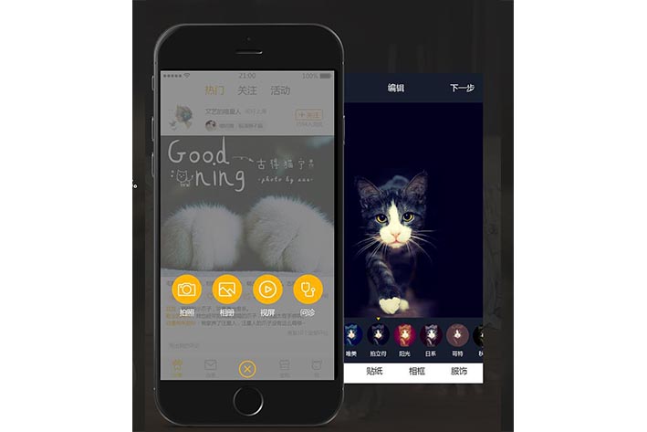 宠物电商渠道开发需求具备什么快捷服务