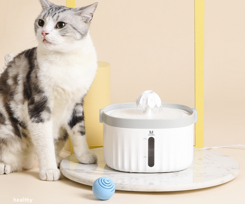 宠物电商APP开发概述