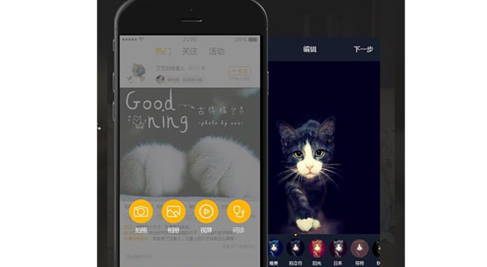 宠物电商平台需要具备哪些功能？