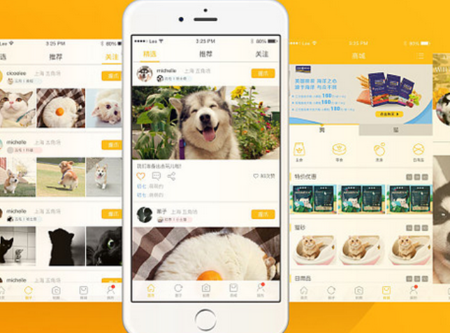 宠物APP开发该怎么设计功能