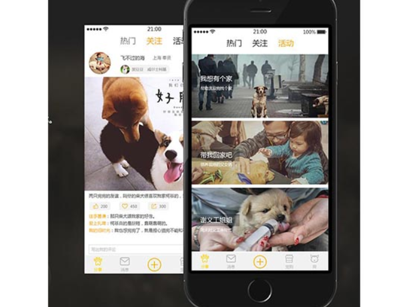 宠物社交APP开发概述