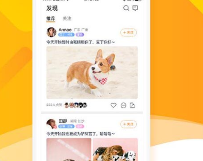 宠物线上商城APP开发的效果包含什么？