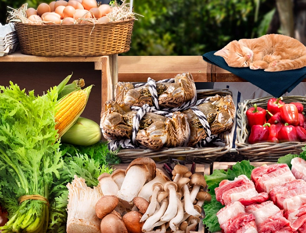 生鲜配送平台app的优势主要体现在哪里